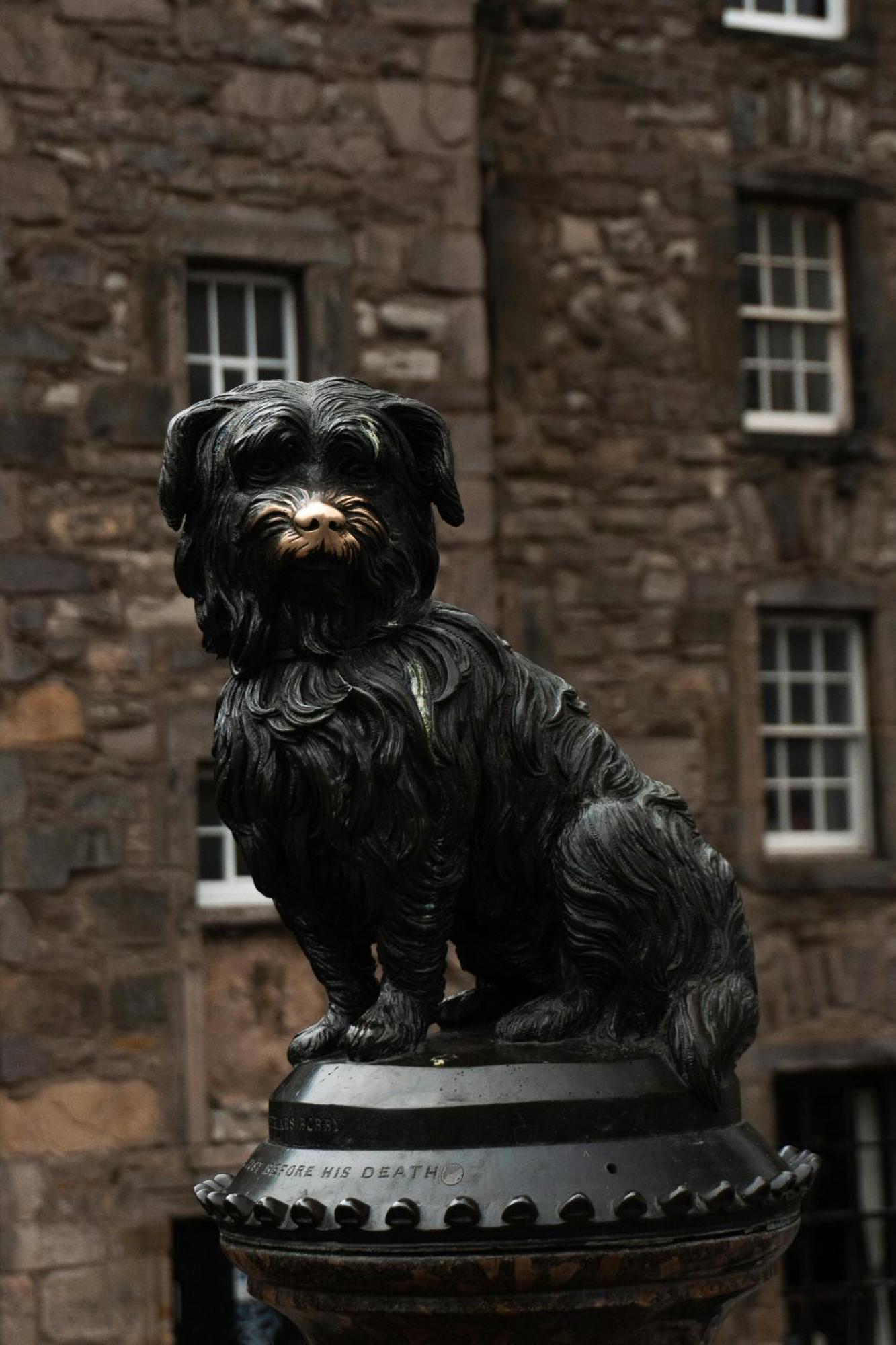 Greyfriars Studio Edinburgh Exterior photo